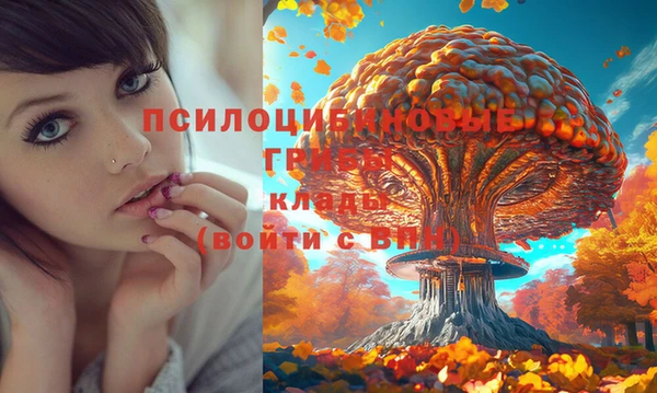 соль ск Бородино