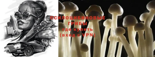 ПСИЛОЦИБИНОВЫЕ ГРИБЫ Бугульма
