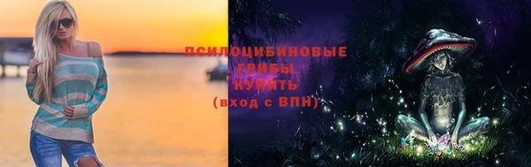 МДМА Богородицк