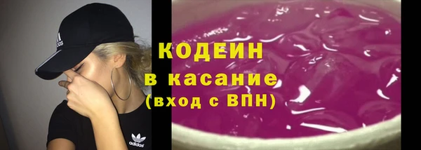 соль ск Бородино