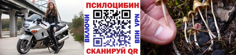 Псилоцибиновые грибы Psilocybe закладка кракен как зайти Кизел
